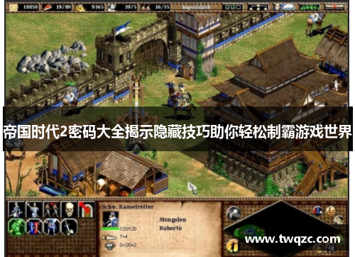 帝国时代2密码大全揭示隐藏技巧助你轻松制霸游戏世界