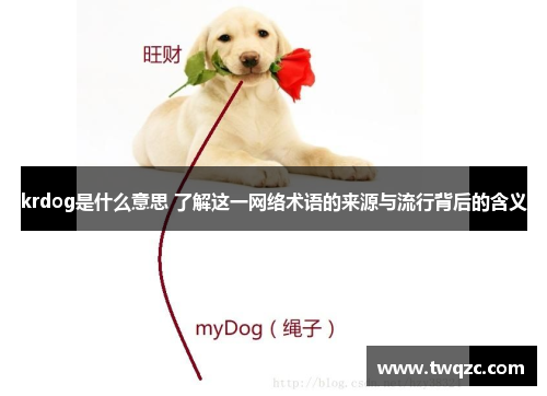krdog是什么意思 了解这一网络术语的来源与流行背后的含义