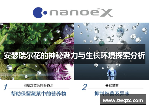 安瑟瑞尔花的神秘魅力与生长环境探索分析