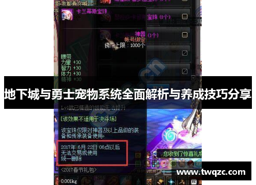 地下城与勇士宠物系统全面解析与养成技巧分享