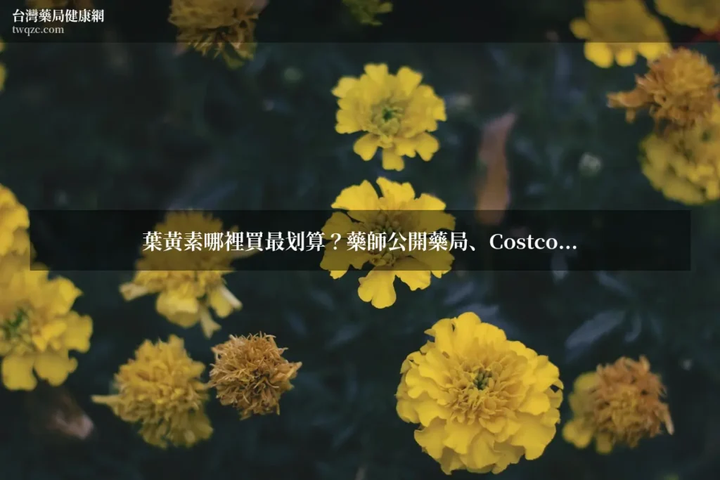 葉黃素哪裡買最划算?藥師公開藥局、Costco、網路商城比價心得與挑選重點